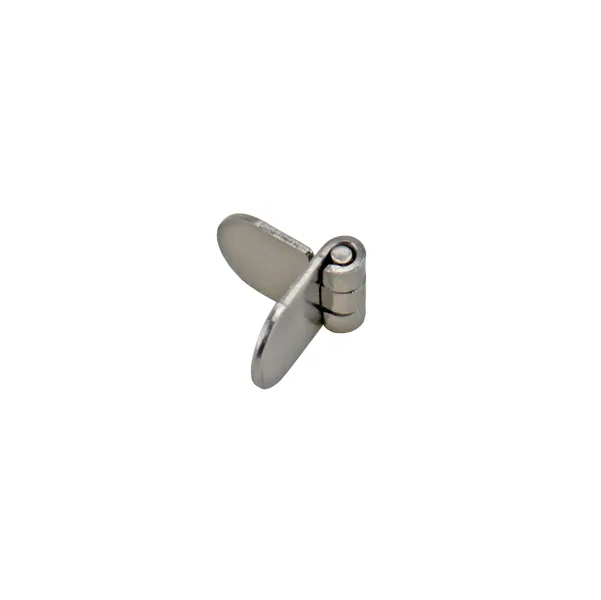 304 Stainless Steel Round Weld-On Hinge HG02-052