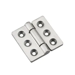 Compact Stainless Steel Hinge HG02-100