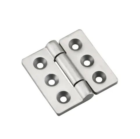 Compact Stainless Steel Hinge HG02-100